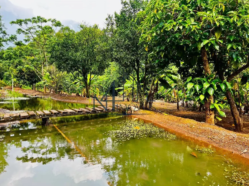 Foto 11 de Fazenda / Haras à venda em Aragoiania - GO