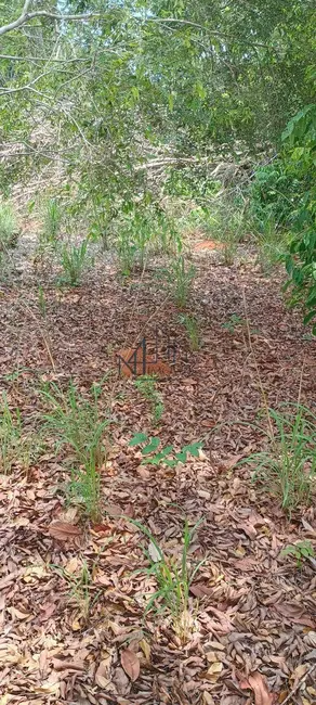 Foto 41 de Chácara à venda em Setor Central, Palmeirante - TO