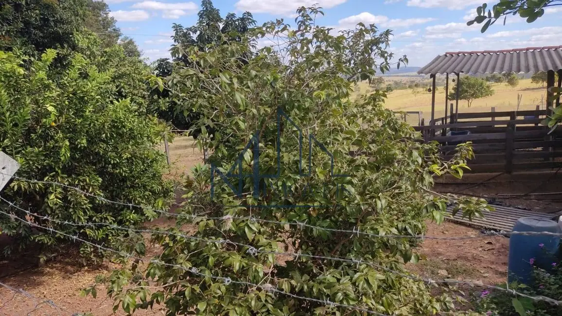 Foto 8 de Chácara à venda em Aragoiania - GO