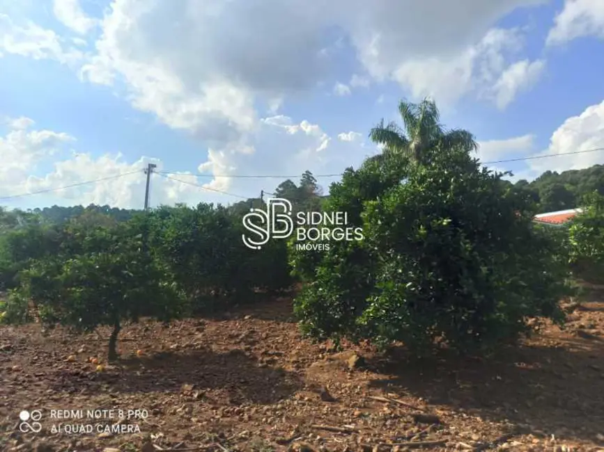 Foto 9 de Sítio / Rancho com 3 quartos à venda, 246m2 em Concordia - SC