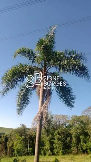 Foto 3 de Sítio / Rancho à venda em Concordia - SC