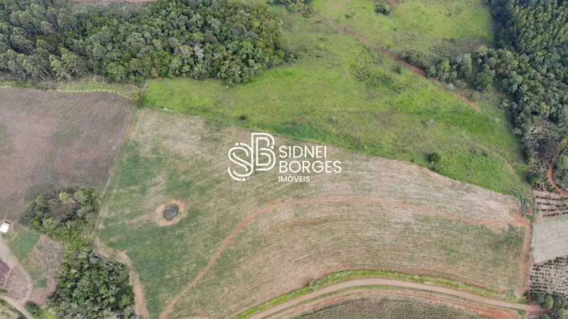 Foto 5 de Sítio / Rancho à venda em Concordia - SC