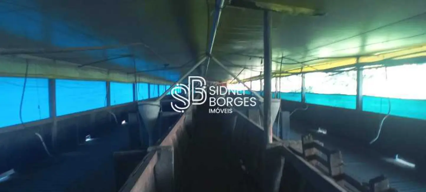 Foto 4 de Sítio / Rancho à venda, 140m2 em Concordia - SC