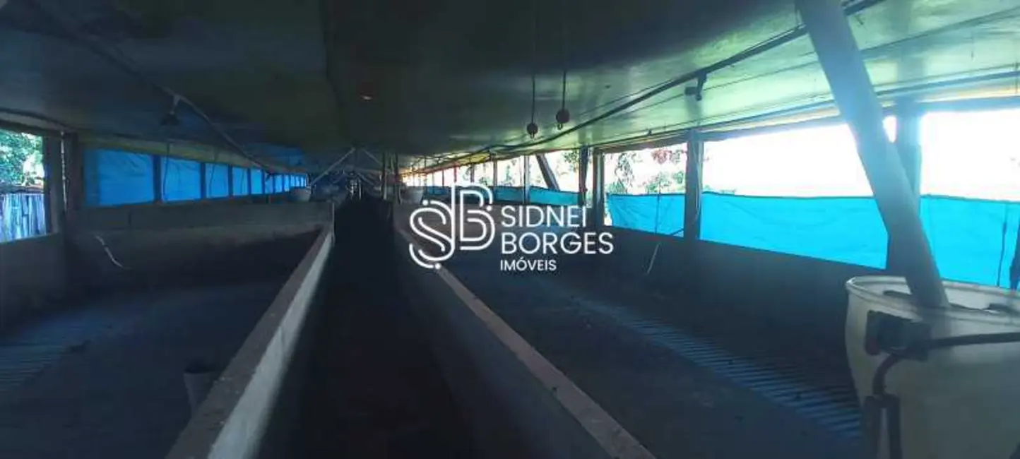 Foto 6 de Sítio / Rancho à venda, 140m2 em Concordia - SC