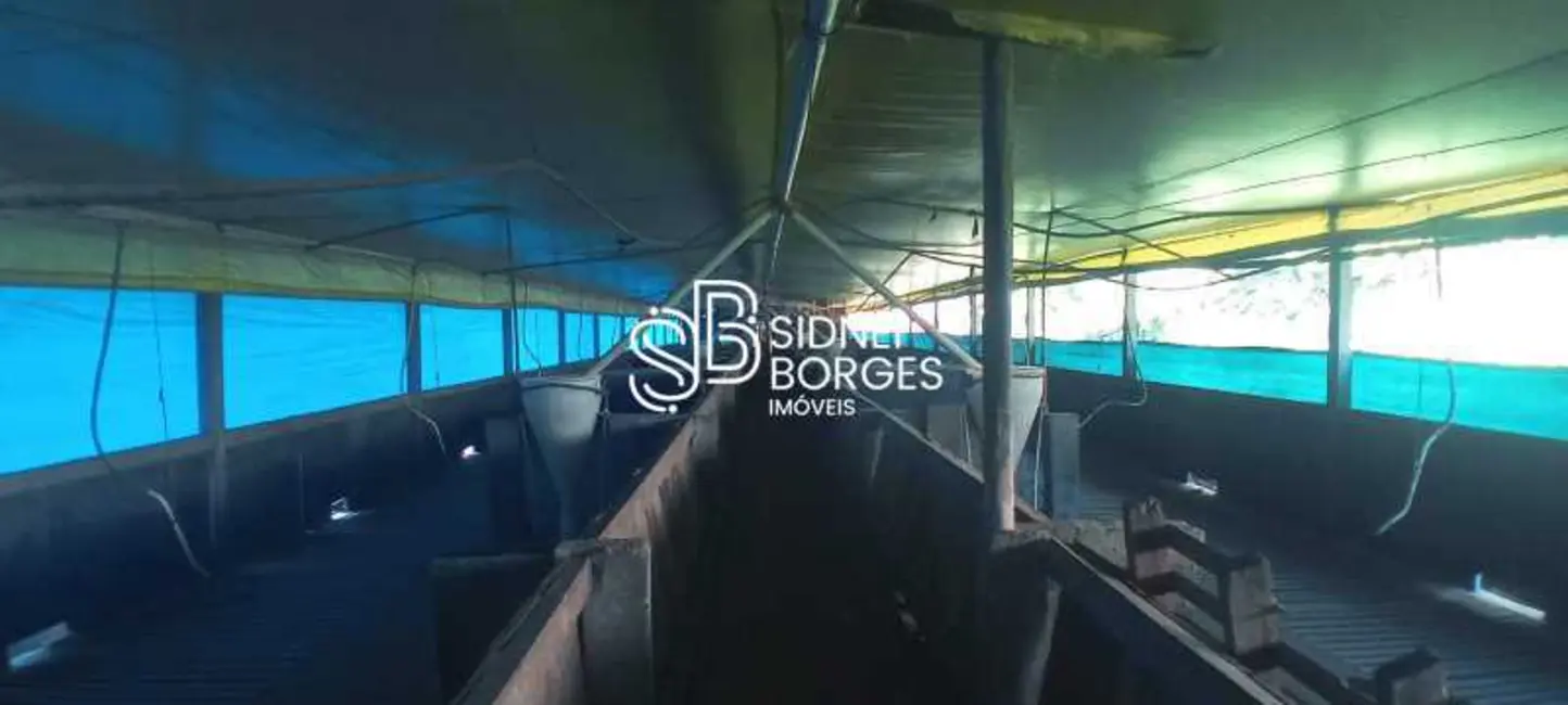 Foto 3 de Sítio / Rancho à venda, 140m2 em Concordia - SC