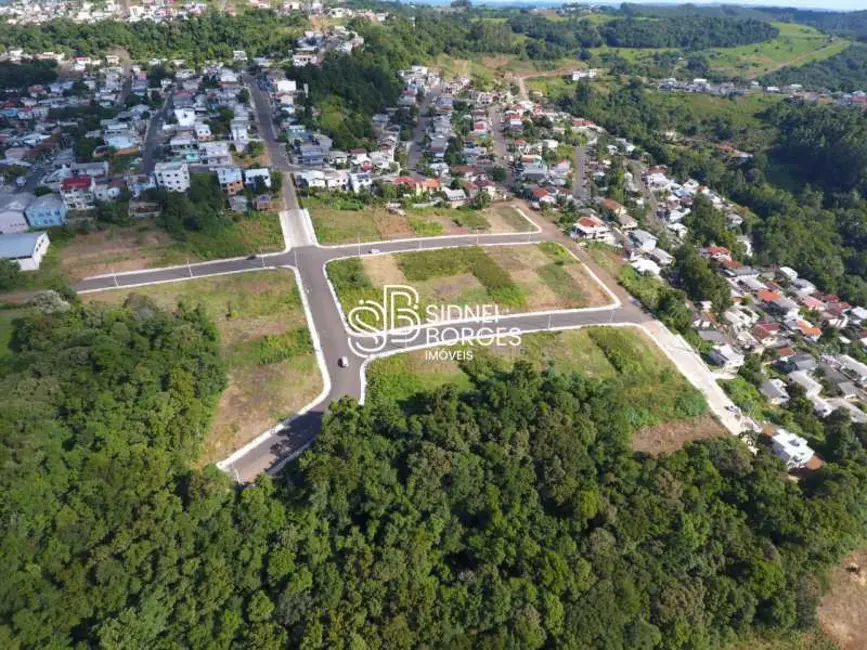 Foto 2 de Terreno / Lote à venda, 361m2 em Concordia - SC