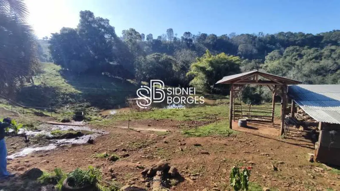 Foto 7 de Sítio / Rancho à venda em Concordia - SC