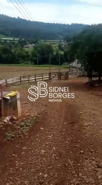 Foto 8 de Sítio / Rancho com 3 quartos à venda em Peritiba - SC