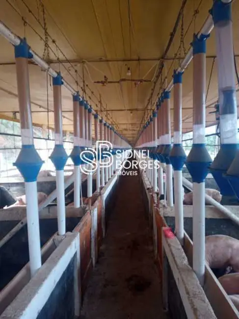 Foto 2 de Sítio / Rancho com 3 quartos à venda em Peritiba - SC