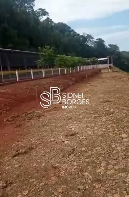 Foto 9 de Sítio / Rancho com 3 quartos à venda em Peritiba - SC
