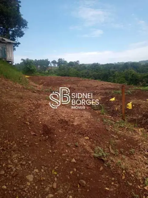 Foto 3 de Sítio / Rancho com 3 quartos à venda em Peritiba - SC