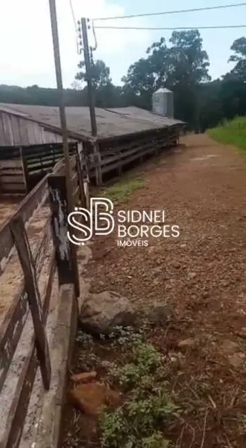 Foto 4 de Sítio / Rancho com 3 quartos à venda em Peritiba - SC