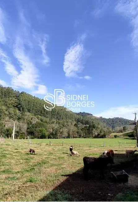 Foto 4 de Sítio / Rancho com 3 quartos à venda em Lindoia Do Sul - SC