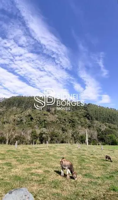 Foto 3 de Sítio / Rancho com 3 quartos à venda em Lindoia Do Sul - SC