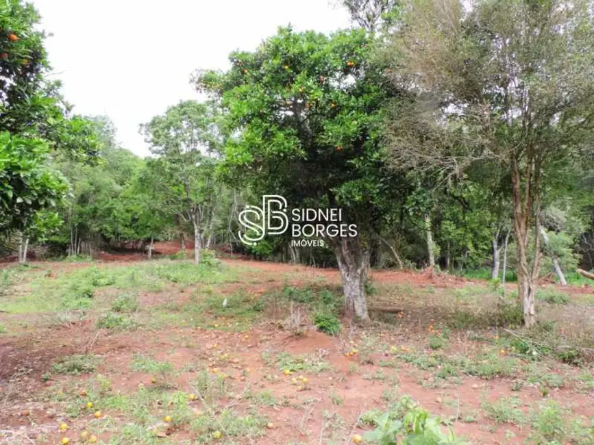 Foto 20 de Sítio / Rancho à venda em Chapeco - SC