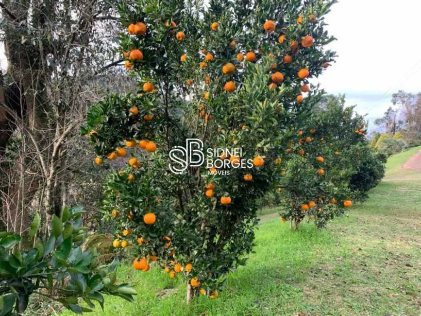 Foto 25 de Sítio / Rancho à venda em Luzerna - SC