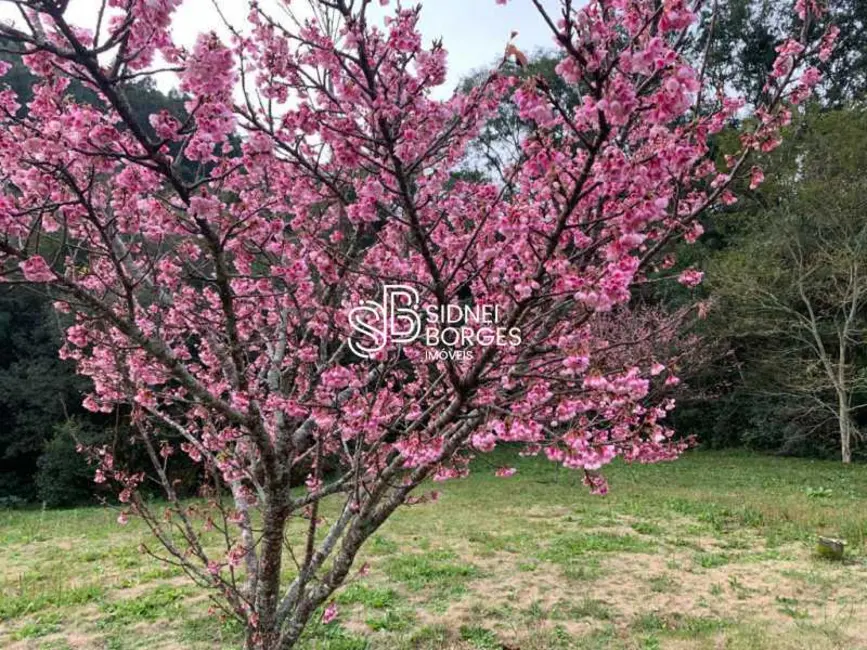 Foto 18 de Sítio / Rancho à venda em Luzerna - SC