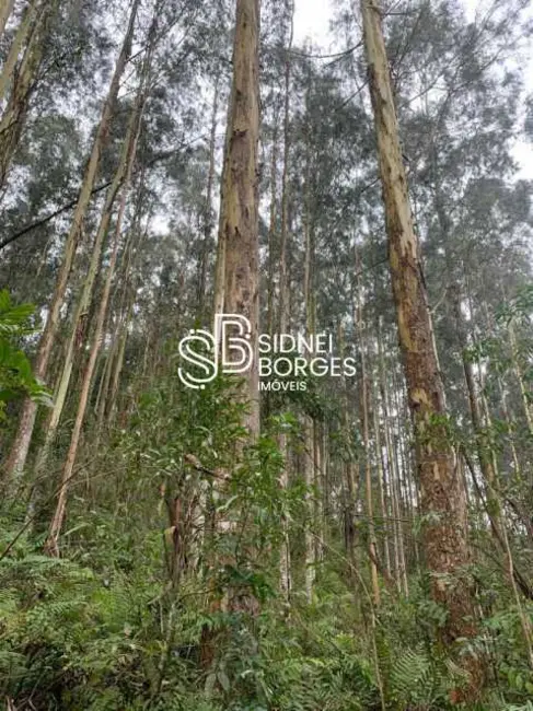 Foto 17 de Sítio / Rancho à venda em Luzerna - SC