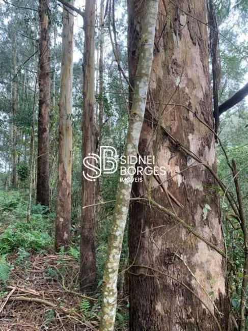 Foto 29 de Sítio / Rancho à venda em Luzerna - SC