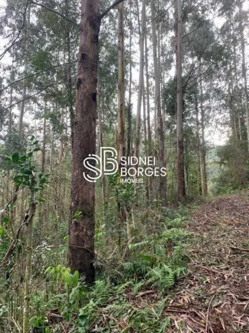 Foto 28 de Sítio / Rancho à venda em Luzerna - SC