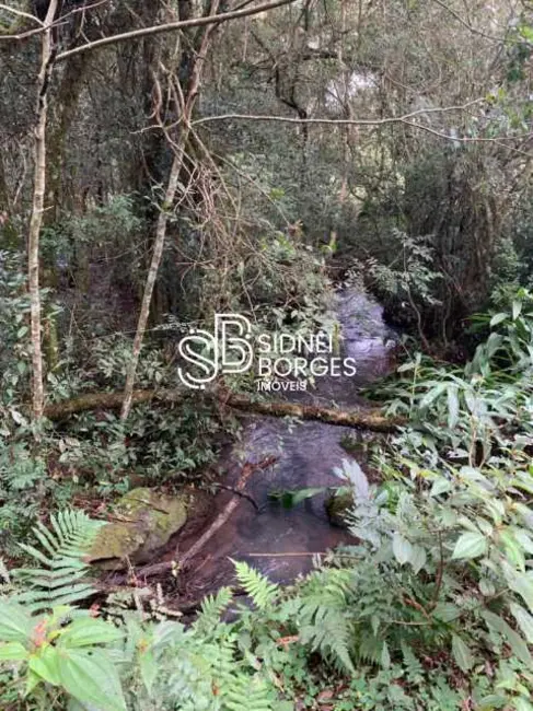 Foto 21 de Sítio / Rancho à venda em Luzerna - SC