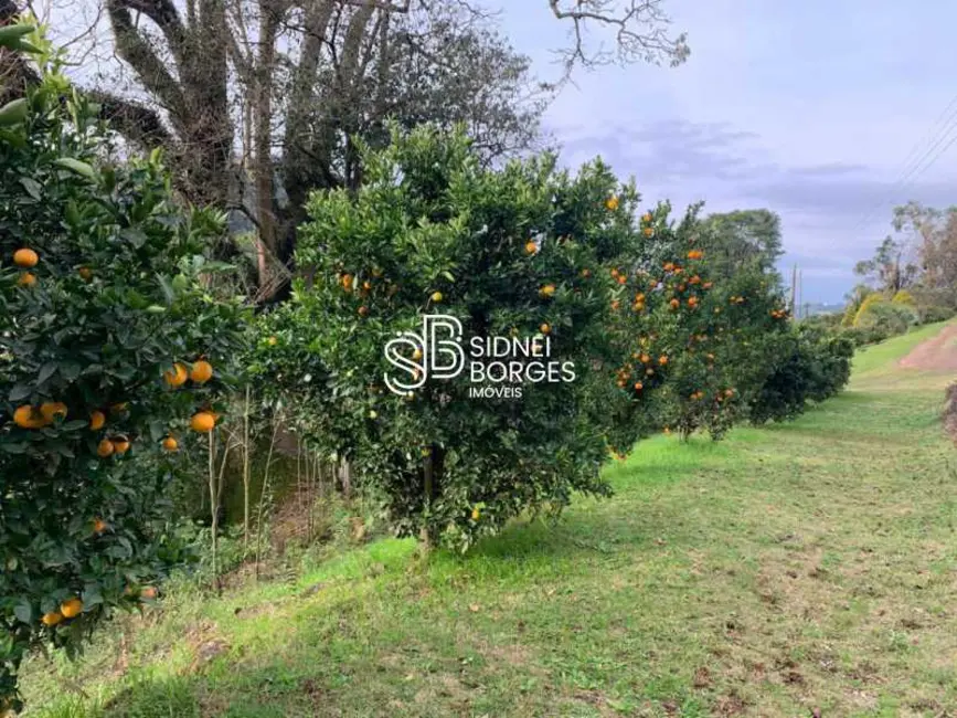 Foto 16 de Sítio / Rancho à venda em Luzerna - SC