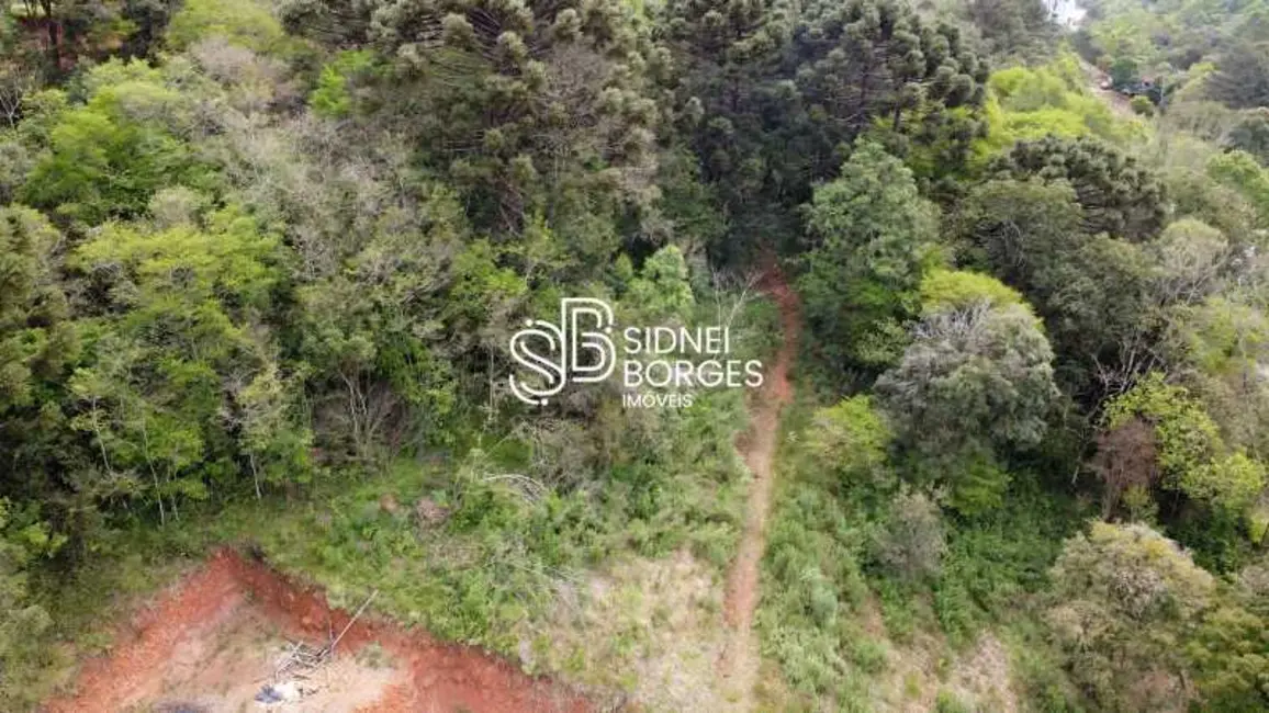 Terreno / Lote à venda, 6928m2 em Concordia - SC - imagem 7 Foto 7 de Terreno / Lote à venda, 6928m2 em Concordia - SC