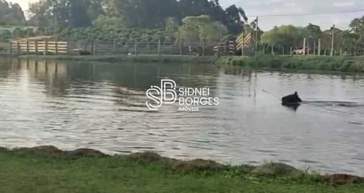 Sítio / Rancho à venda em Chapeco - SC - imagem 5 Foto 5 de Sítio / Rancho à venda em Chapeco - SC