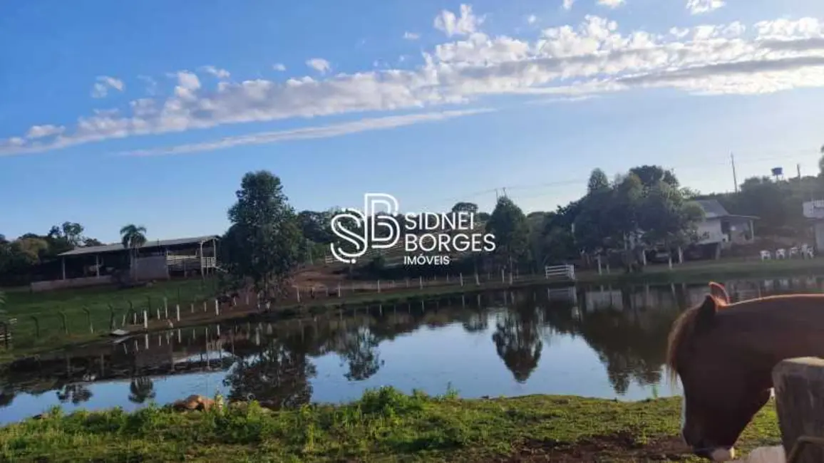 Sítio / Rancho à venda em Chapeco - SC - imagem 4 Foto 4 de Sítio / Rancho à venda em Chapeco - SC