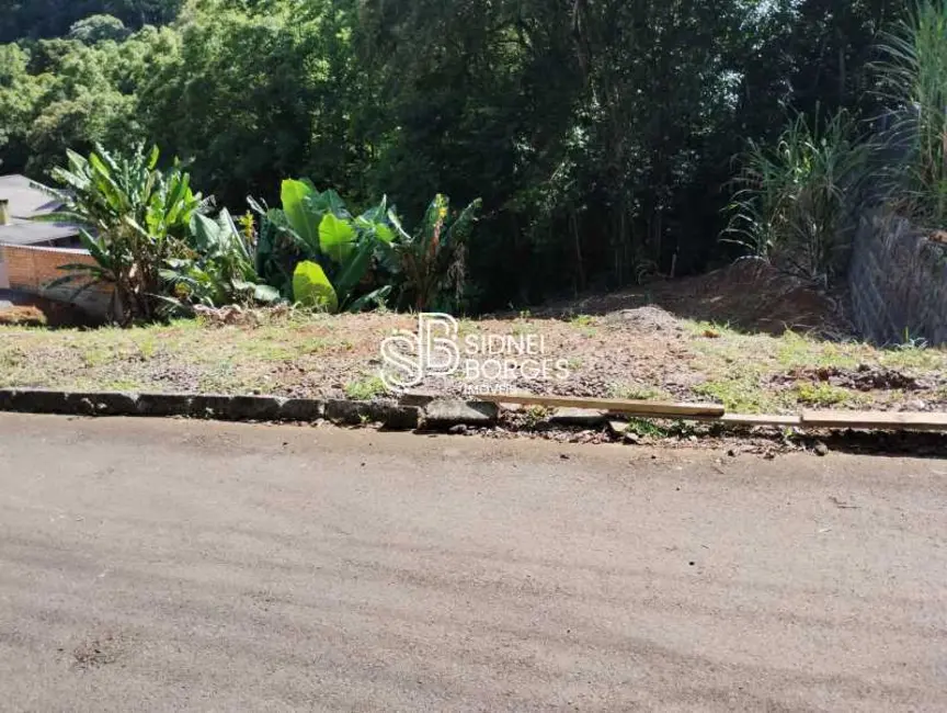 Foto 2 de Terreno / Lote à venda, 630m2 em Concordia - SC