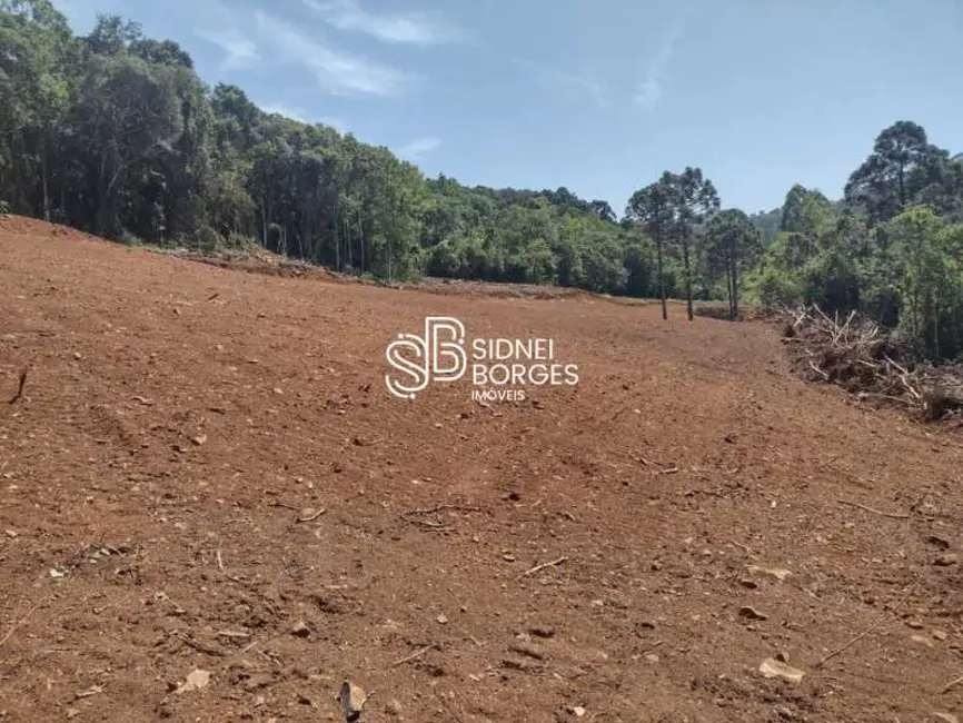 Sítio / Rancho com 2 quartos à venda em Concordia - SC - imagem 5 Foto 5 de Sítio / Rancho com 2 quartos à venda em Concordia - SC