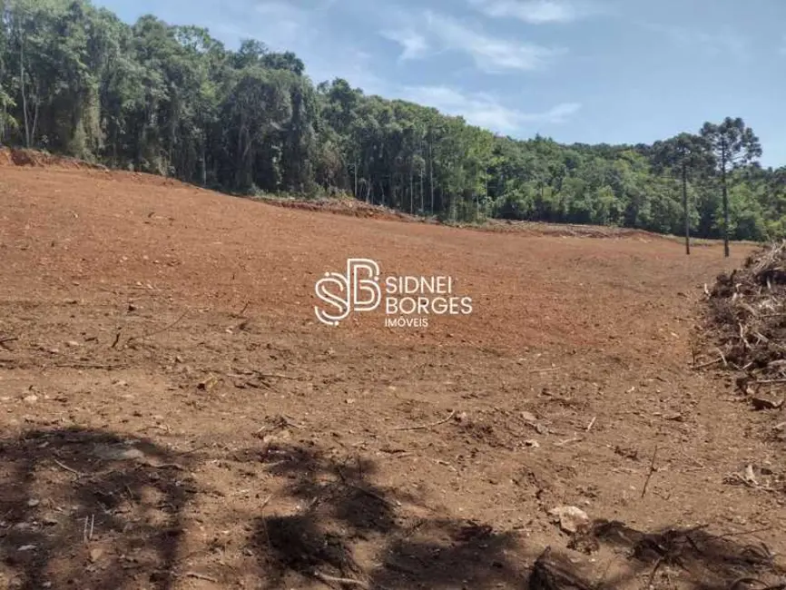 Sítio / Rancho com 2 quartos à venda em Concordia - SC - imagem 4 Foto 4 de Sítio / Rancho com 2 quartos à venda em Concordia - SC