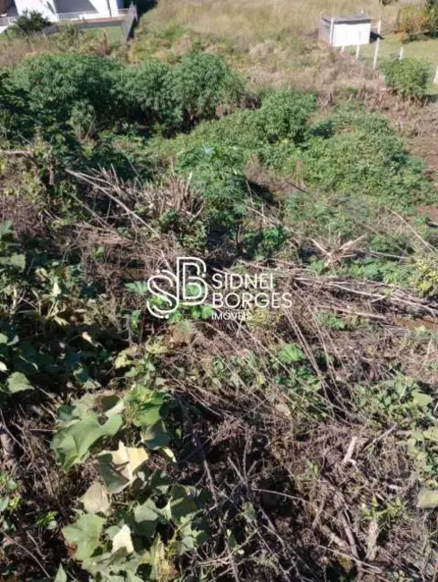 Foto 7 de Terreno / Lote à venda em Concordia - SC