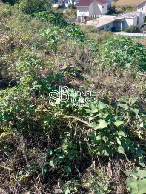 Foto 5 de Terreno / Lote à venda em Concordia - SC