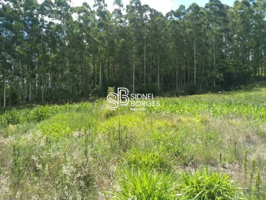 Sítio / Rancho à venda em Paial - SC - imagem 28 Foto 28 de Sítio / Rancho à venda em Paial - SC