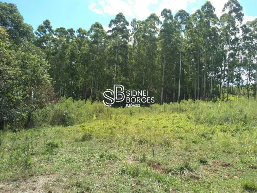 Sítio / Rancho à venda em Paial - SC - imagem 20 Foto 20 de Sítio / Rancho à venda em Paial - SC