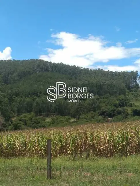 Sítio / Rancho à venda em Paial - SC - imagem 8 Foto 8 de Sítio / Rancho à venda em Paial - SC