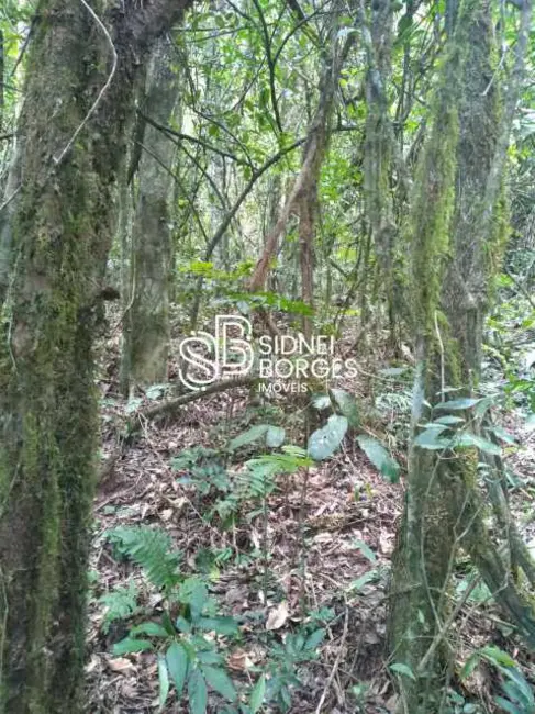 Sítio / Rancho à venda em Paial - SC - imagem 30 Foto 30 de Sítio / Rancho à venda em Paial - SC