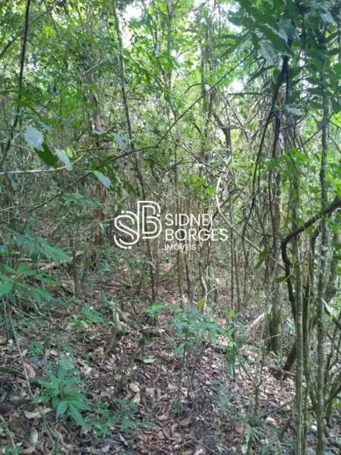 Sítio / Rancho à venda em Paial - SC - imagem 17 Foto 17 de Sítio / Rancho à venda em Paial - SC