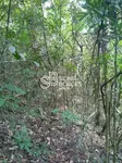 Imagem 17