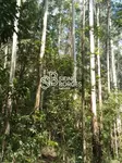 Imagem 26