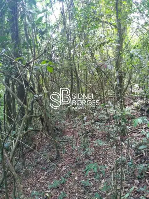 Sítio / Rancho à venda em Paial - SC - imagem 14 Foto 14 de Sítio / Rancho à venda em Paial - SC