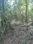 Imagem 14