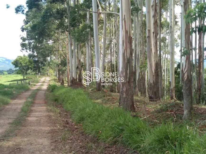 Sítio / Rancho à venda em Paial - SC - imagem 19 Foto 19 de Sítio / Rancho à venda em Paial - SC