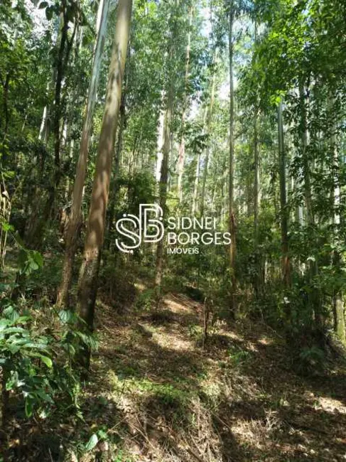 Sítio / Rancho à venda em Paial - SC - imagem 25 Foto 25 de Sítio / Rancho à venda em Paial - SC