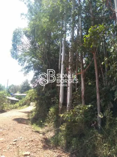 Sítio / Rancho à venda em Paial - SC - imagem 9 Foto 9 de Sítio / Rancho à venda em Paial - SC