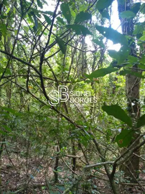 Sítio / Rancho à venda em Paial - SC - imagem 10 Foto 10 de Sítio / Rancho à venda em Paial - SC