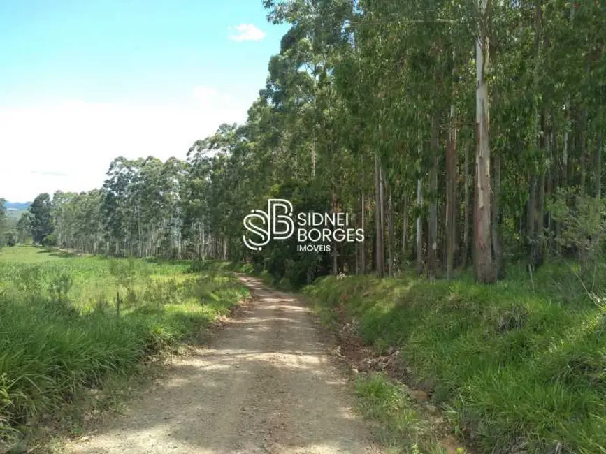 Sítio / Rancho à venda em Paial - SC - imagem 18 Foto 18 de Sítio / Rancho à venda em Paial - SC