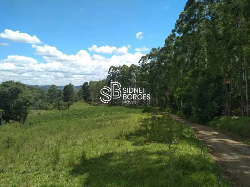 Sítio / Rancho à venda em Paial - SC - imagem 13 Foto 13 de Sítio / Rancho à venda em Paial - SC