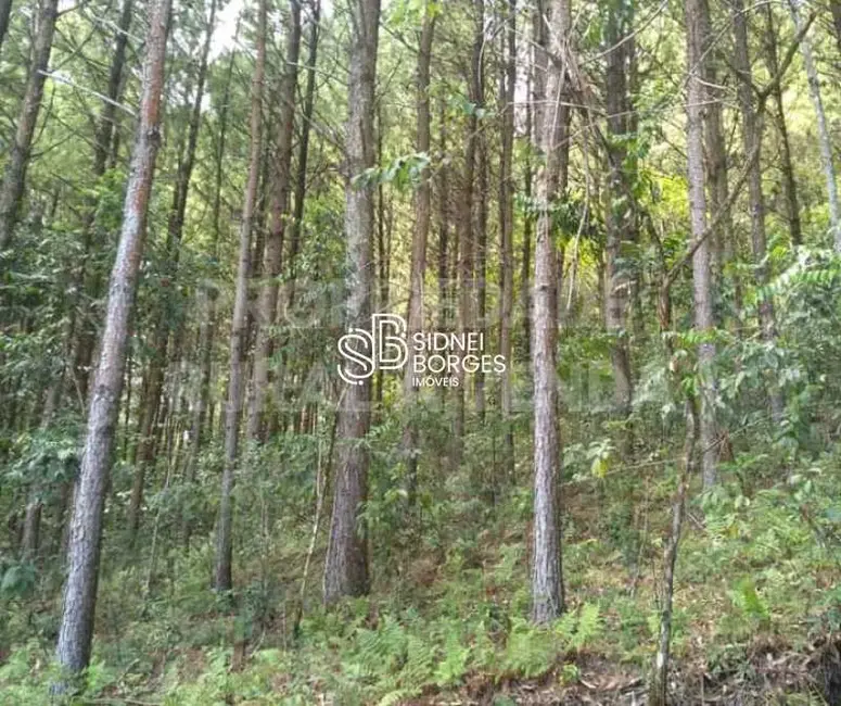 Foto 1 de Sítio / Rancho à venda em Paial - SC